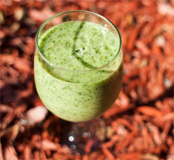 Paleo ontbijt smoothie